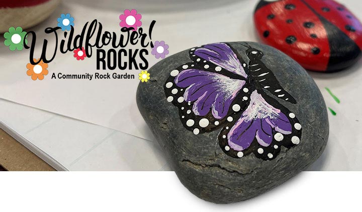 COMMUNITY ROCK GARDEN SEEKS STONE COLD ART